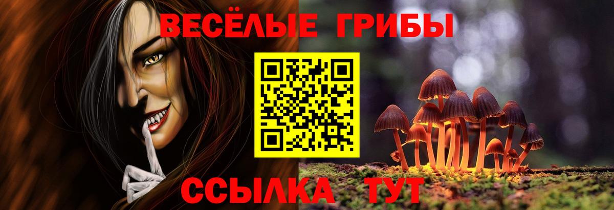 Псилоцибиновые грибы Cubensis  Вход с VPN  Выборг 